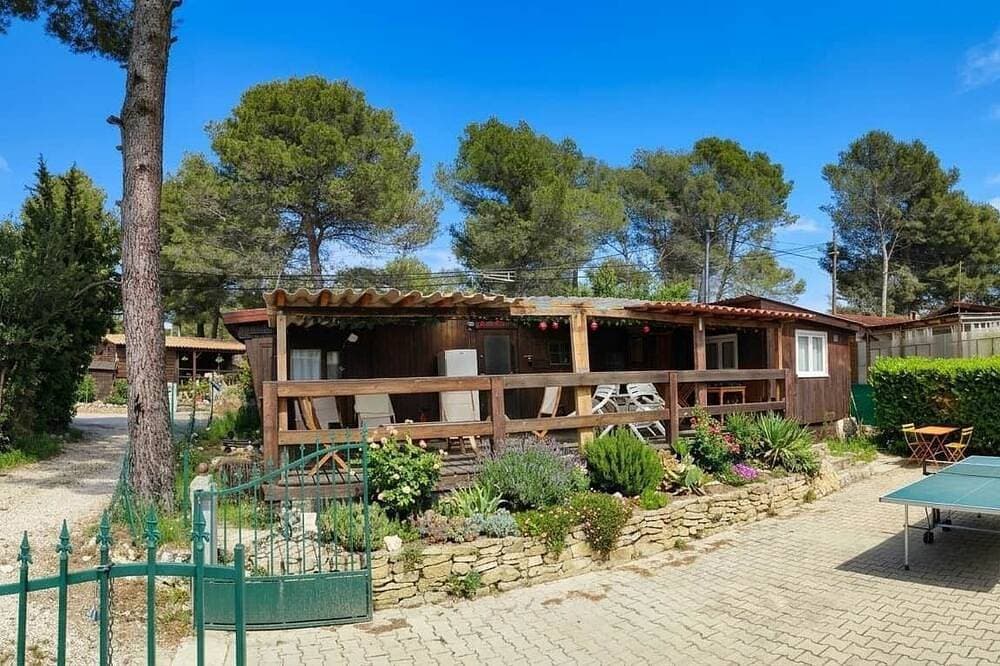 In the shade of the Castellet pines 1