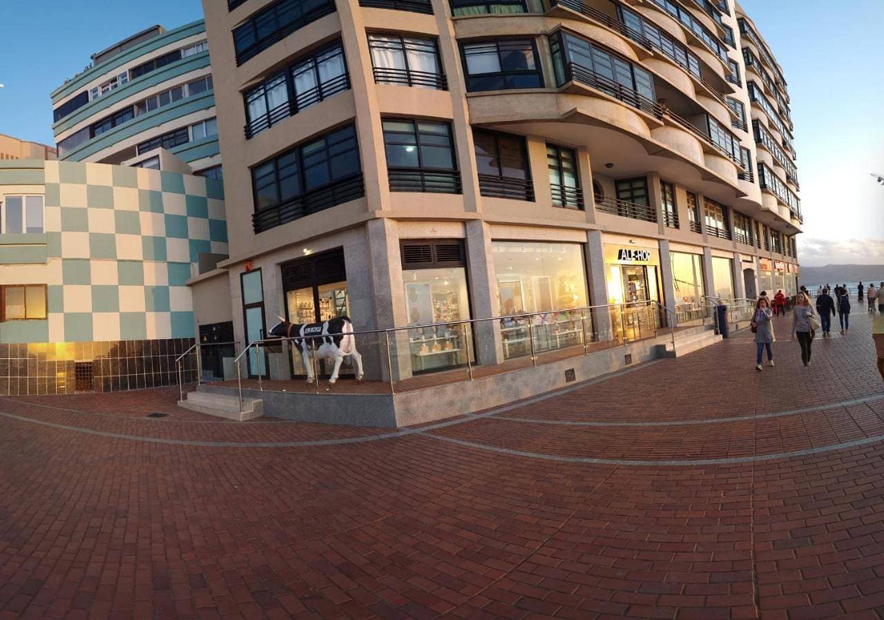 Foto 7 von 65: Superior Apartment