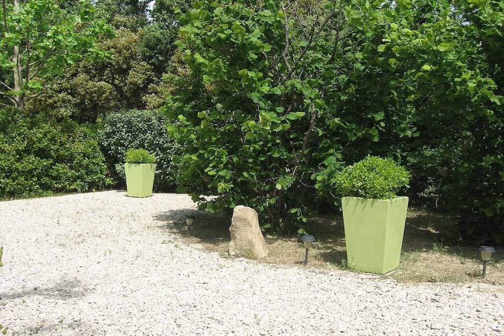 Foto 12 von 24: Das Ferienhaus 'Les Euphorbia' ... Olivenbäume, .. Zikaden, Provence ...