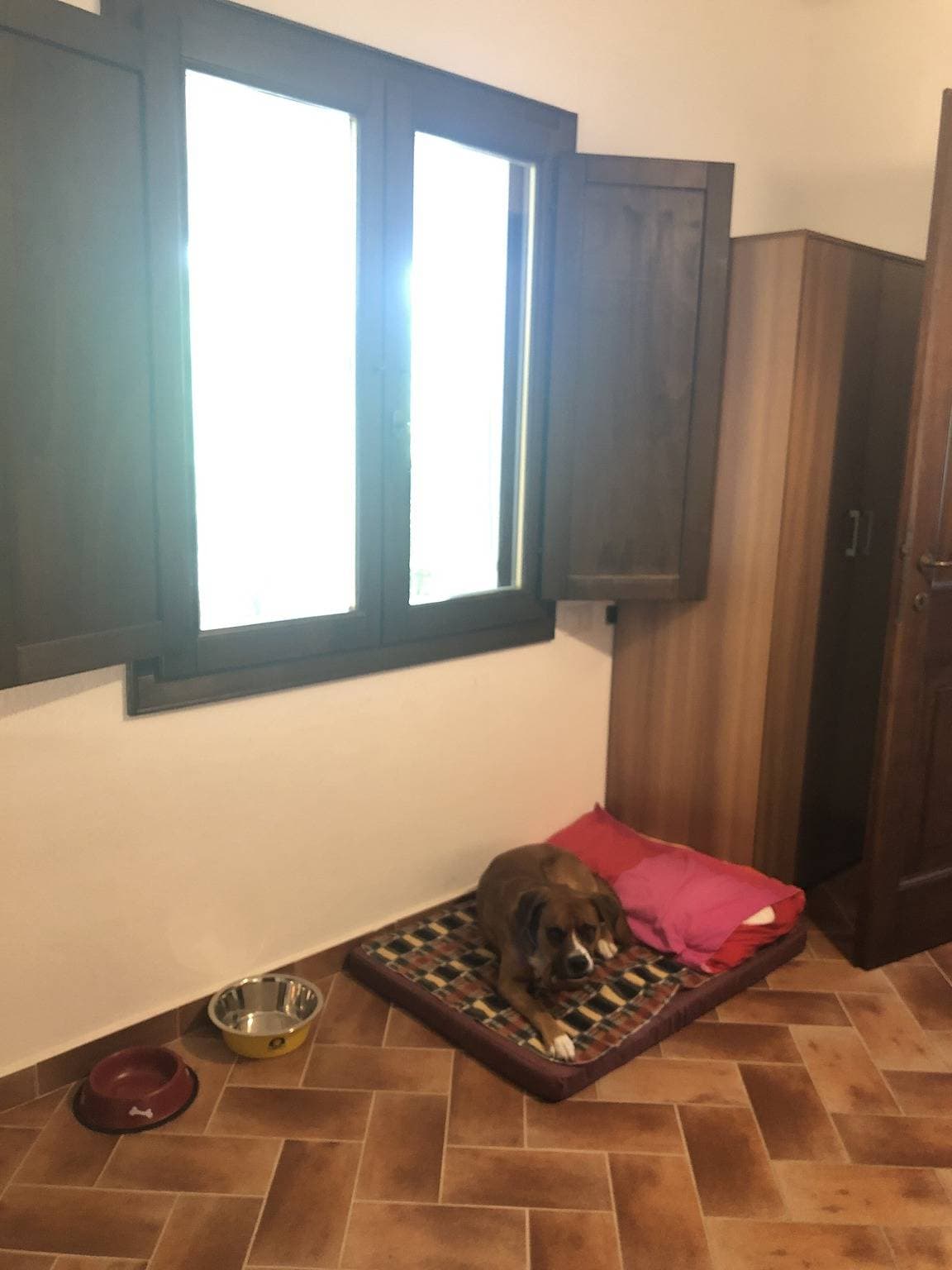 Foto 10 von 25: Ferienwohnung „Für Naturliebhaber“ mit Bergblick, privater Terrasse und WLAN