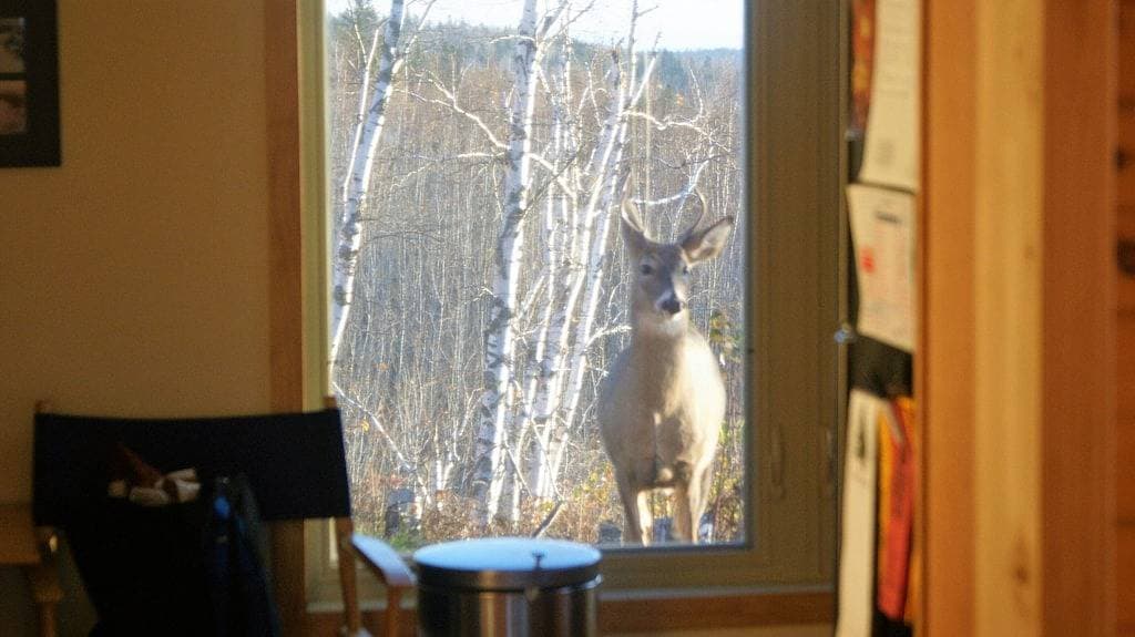 Foto 5 von 49: Heiligtum am Nordufer des Oberen Sees