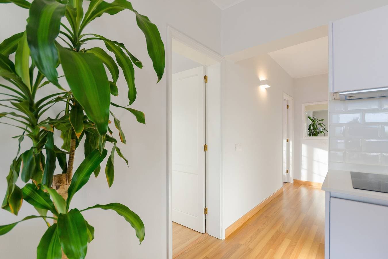 Foto 12 von 25: Ferienwohnung "Nahia" nahe dem Strand mit Wintergarten, Meerblick und Tennisplatz