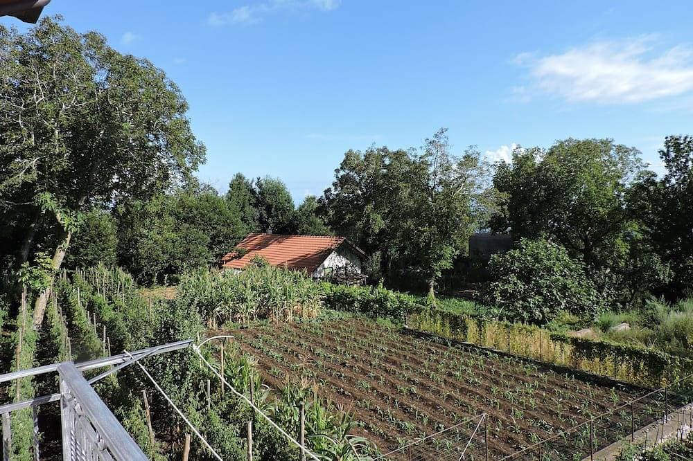 Villa Dell'Alta Costiera Gesamte Wohnung - 110 S. M .; 1,100 S. F. 1