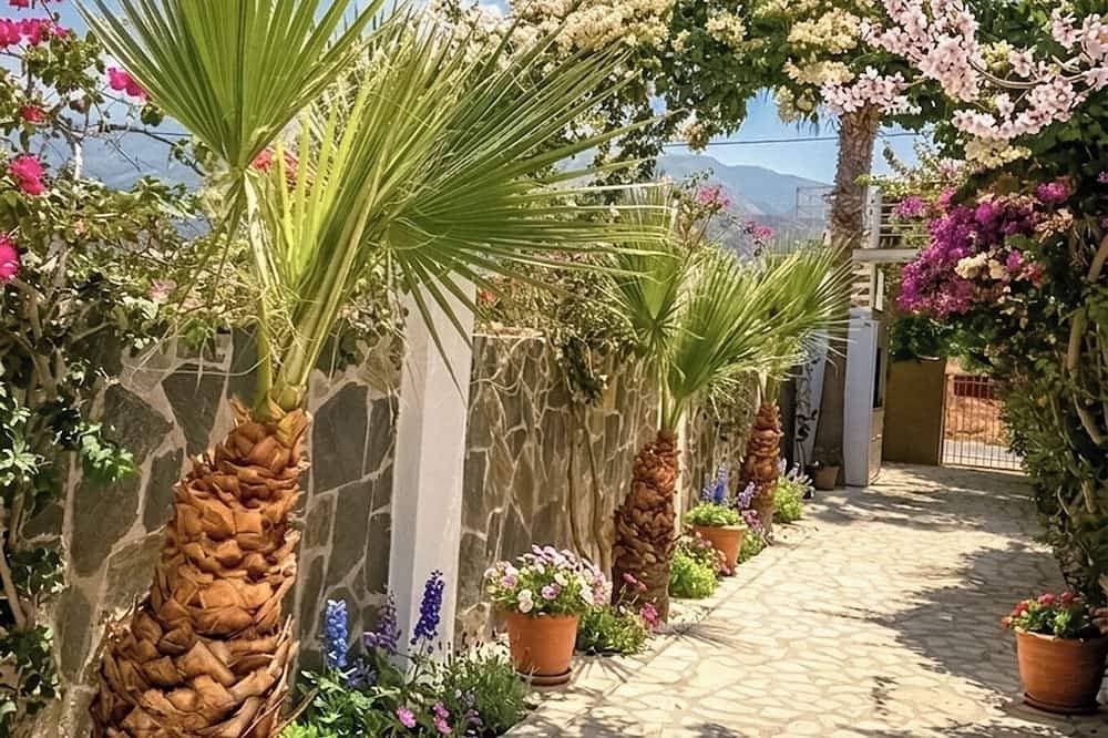Foto 4 von 20: Babalogo Villa mit 12 Zimmern in Malia Kreta
