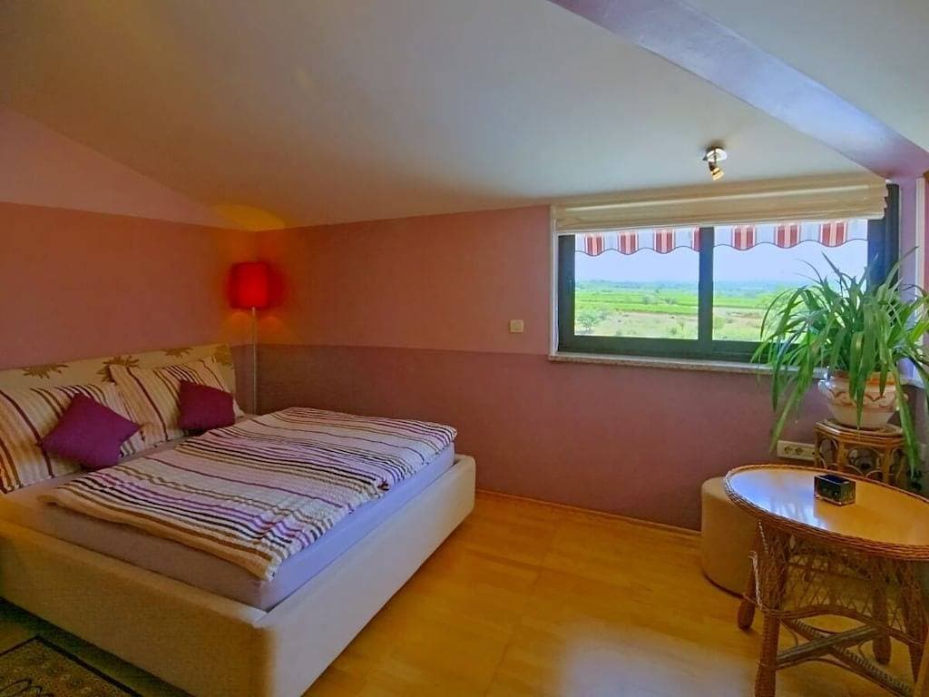 Foto 13 von 20: Villa in Višnjan mit Schwimmbecken
