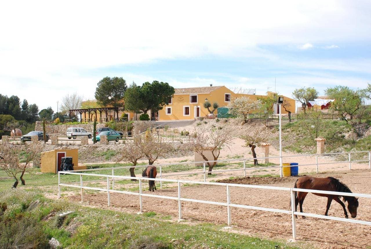 Complejo Rural Las Lomas de Biar 1