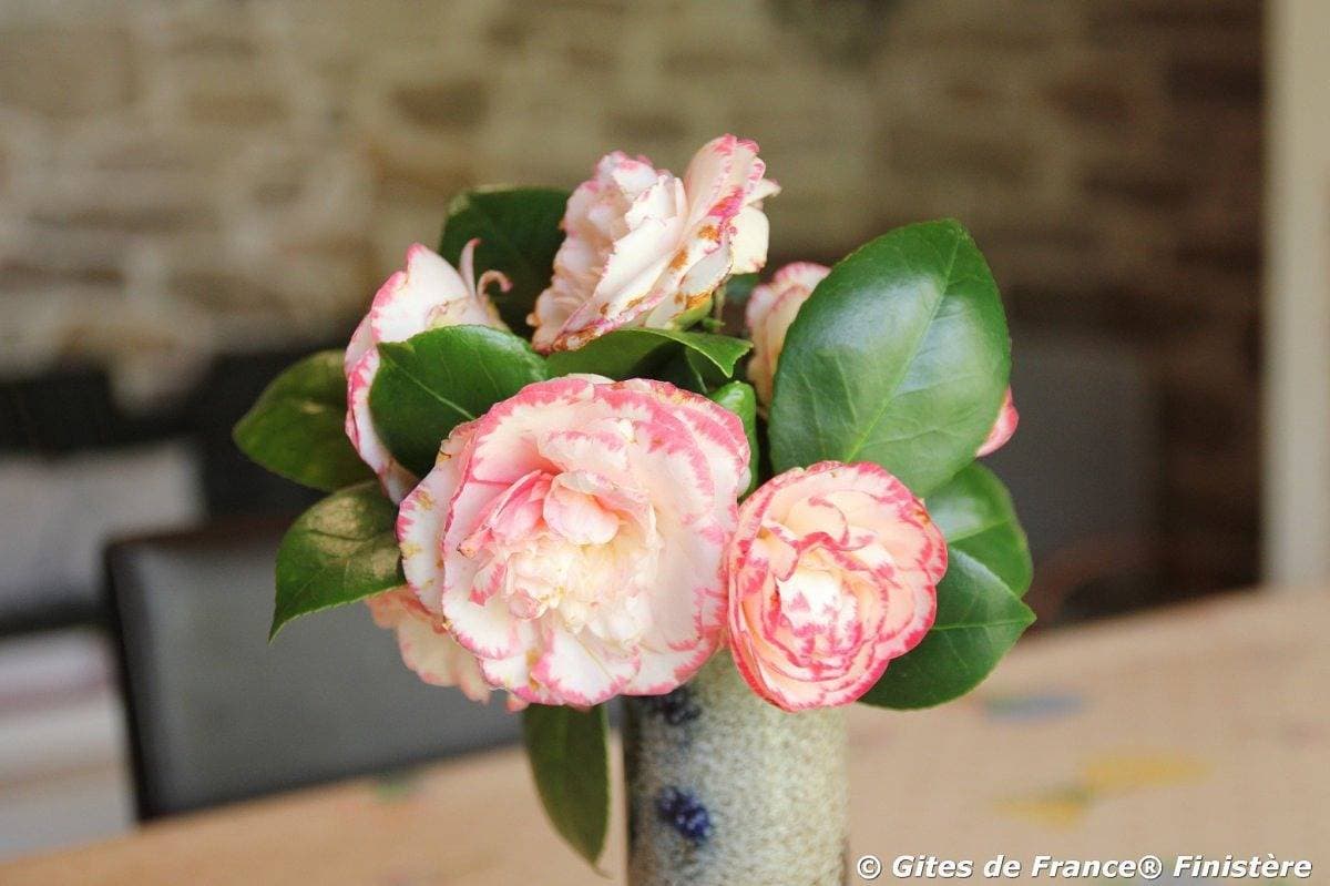 Foto 12 von 27: La maison aux hortensias