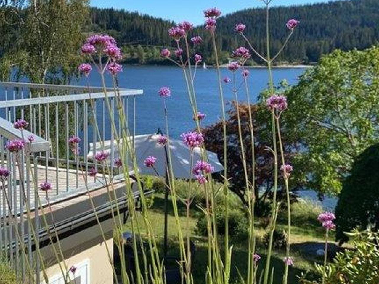 Seepark Schluchsee 1