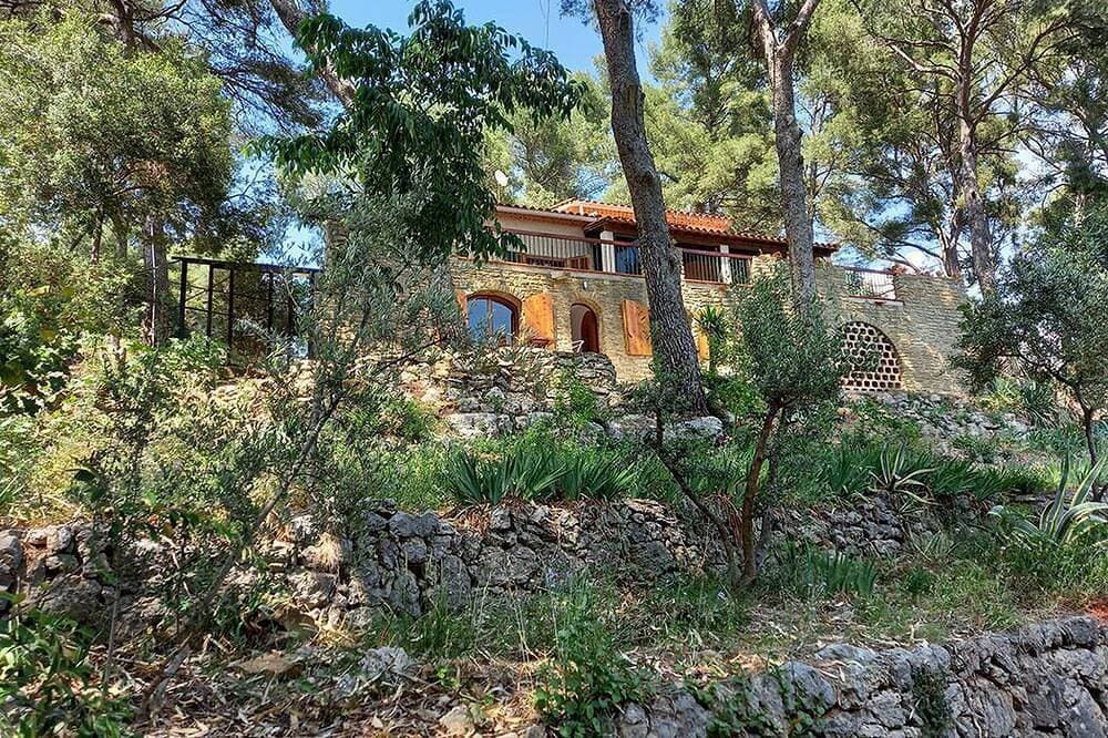 La Maison Dans Les Pins 1