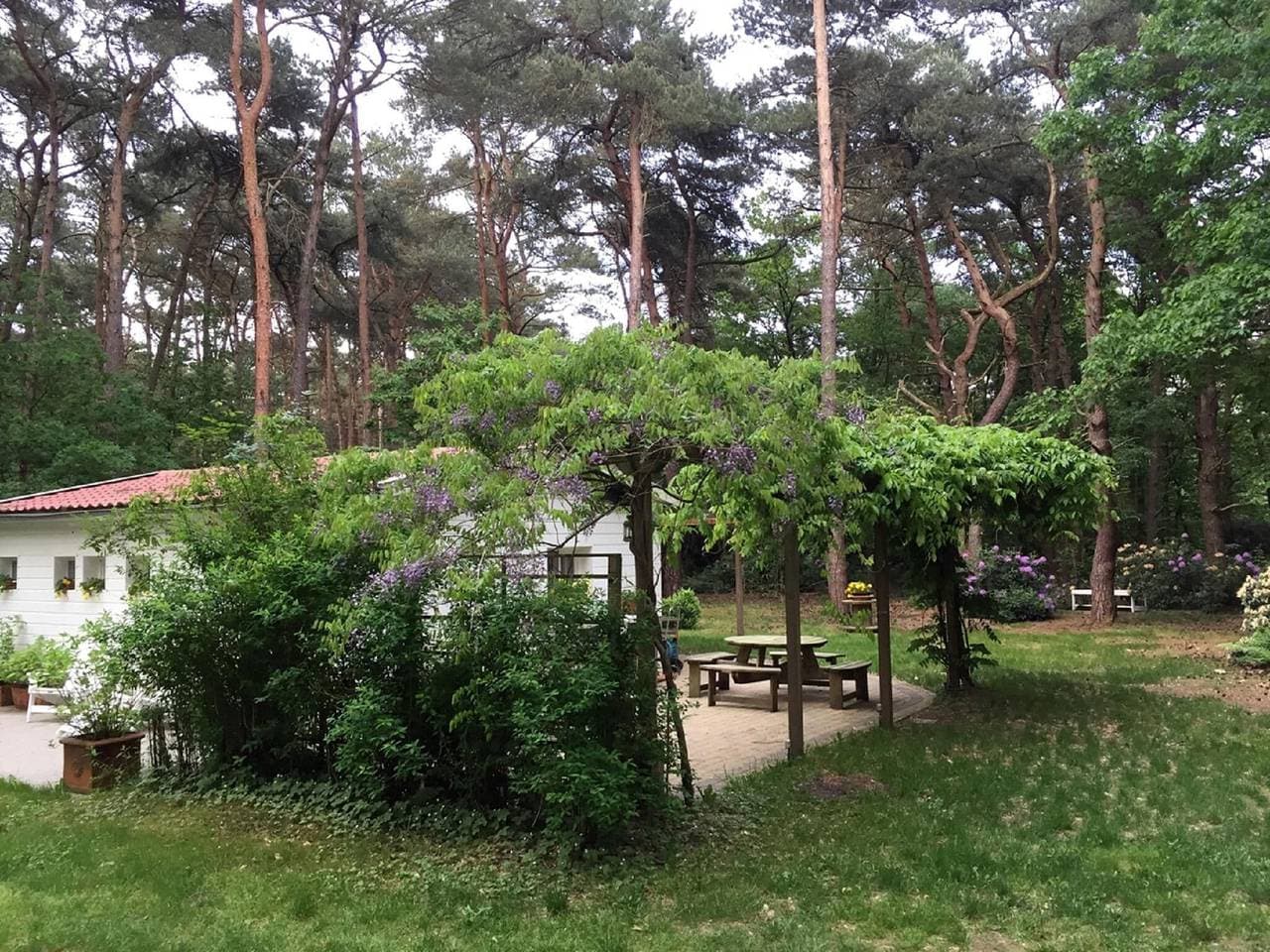 Foto 11 von 40: Gierle Garden Bungalow Escape