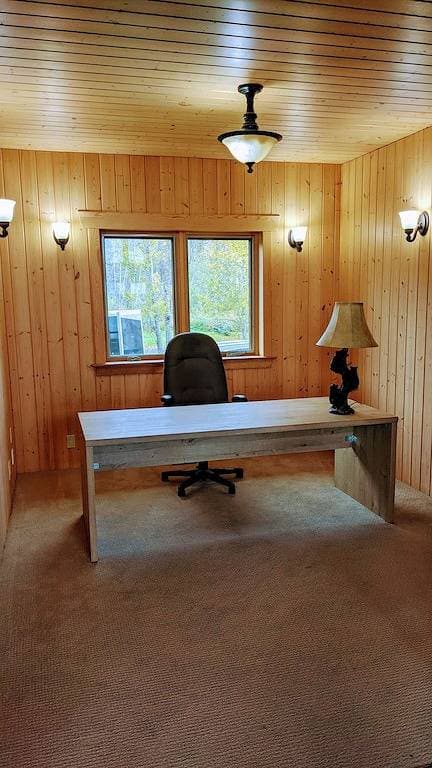 Luxury Lakefront Cabin on Falcon Lake 1