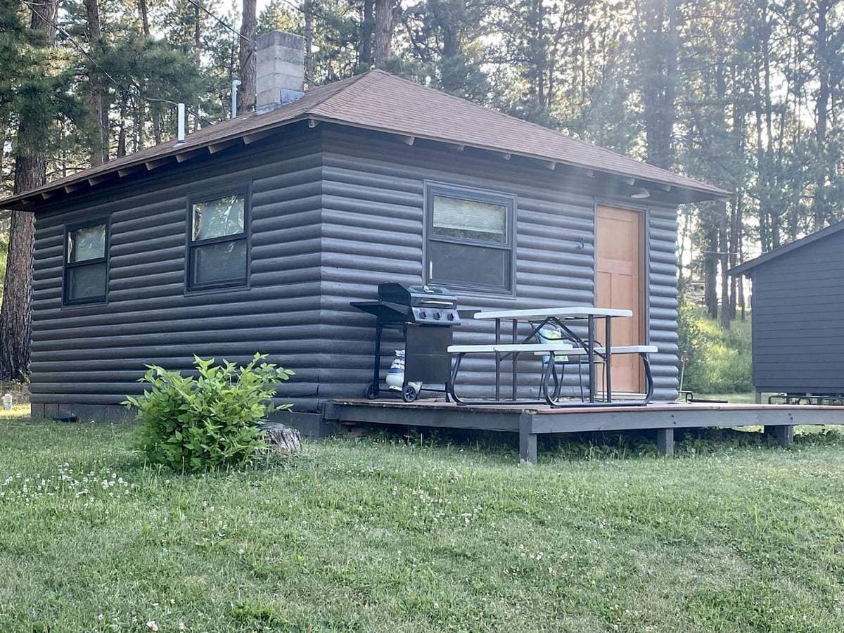 Modern and Picturesque Lake-Side Cabin Located by Mount Rushmore in Rapid City 1