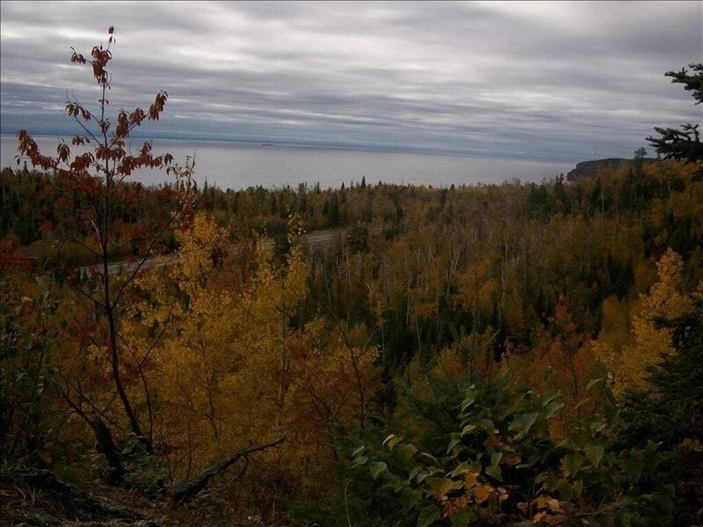 Foto 3 von 38: Tettegouche Blockhaus North Shore Lake Superior mit Sauna