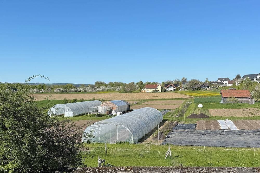 Foto 8 von 10: Schöne Gartenwohnung mit Blick auf die Hegauer Landschaft.