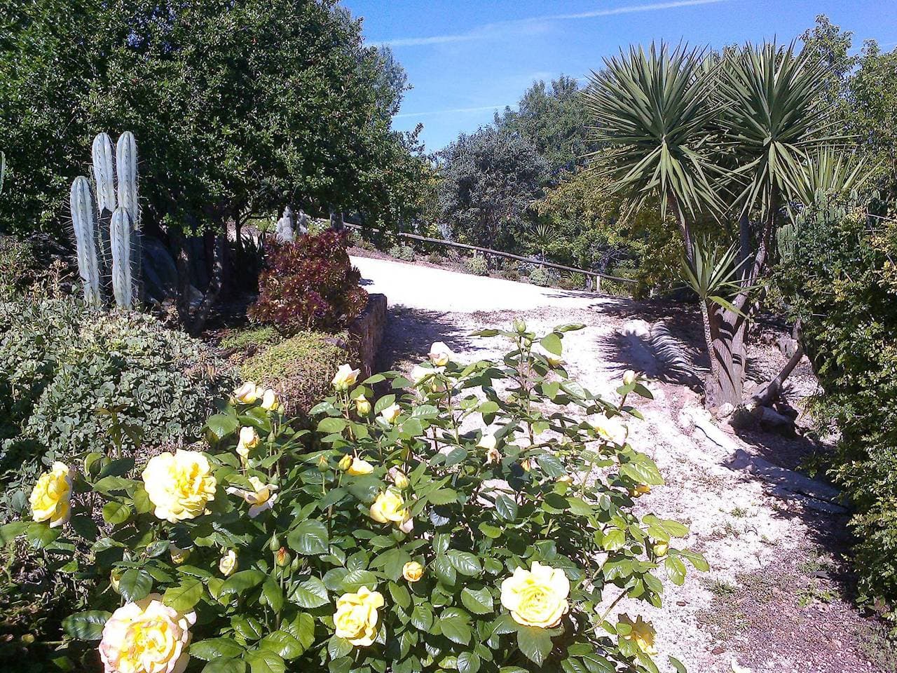 Foto 5 von 50: Casa Bi Rosario - Quinta Amoreira