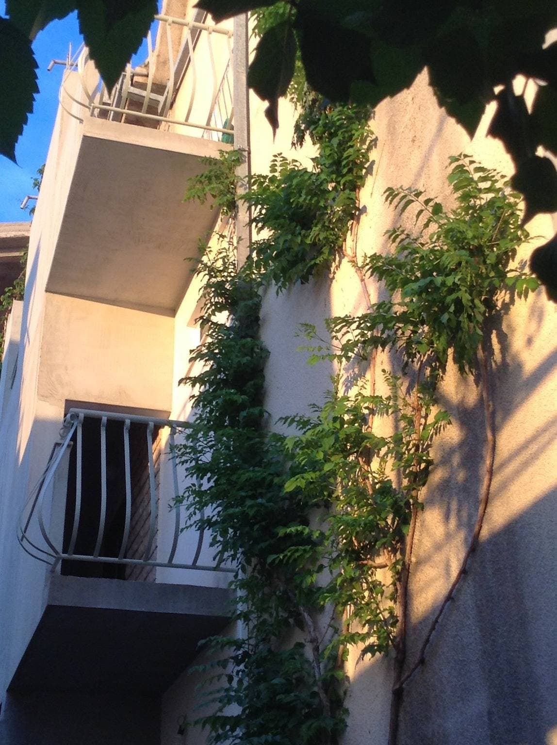 Foto 4 von 20: Zimmer mit Terrasse Drasnice, Makarska S-22573-a