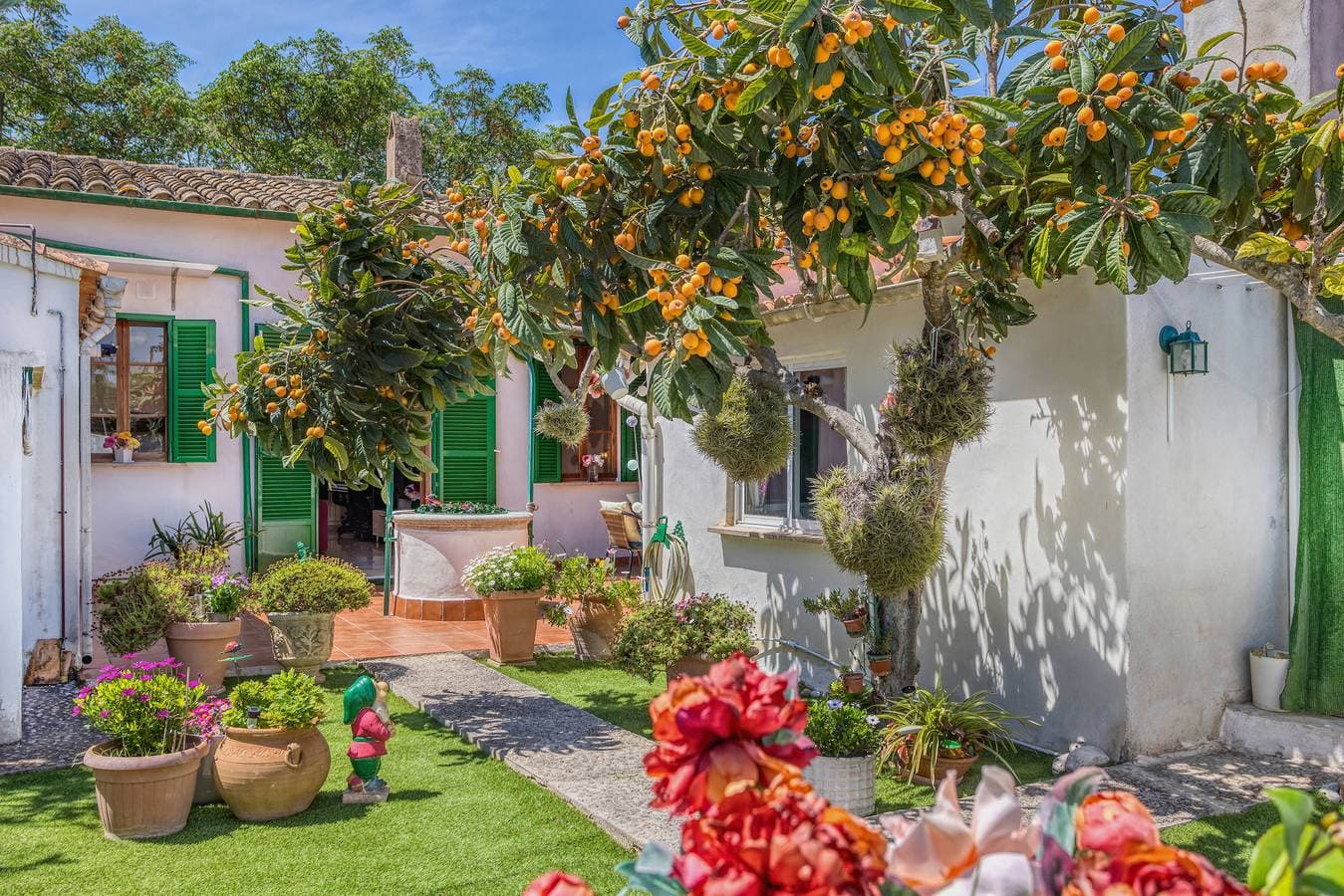 Casa Vileta 1