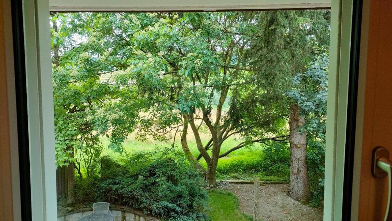 Foto 7 von 7: Double Room with Garden View
