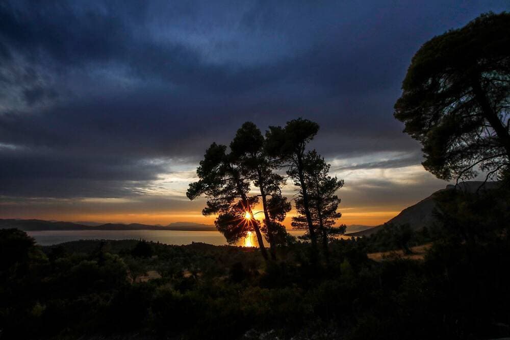 Foto 8 von 30: Leben Sie Ihr Märchen Mitten Im Wald Mit Einem Grossen Blick Auf Das Meer