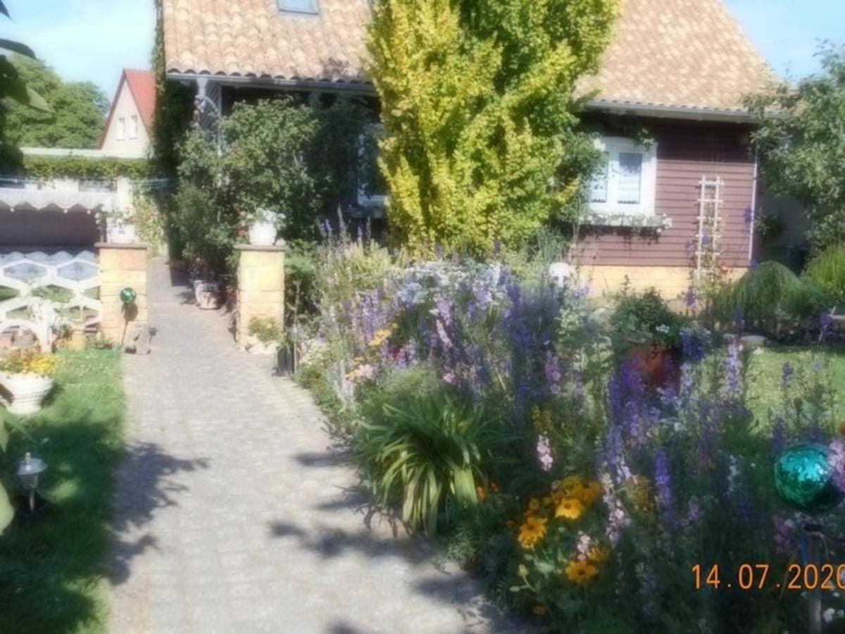 Appartment Dankerode 1