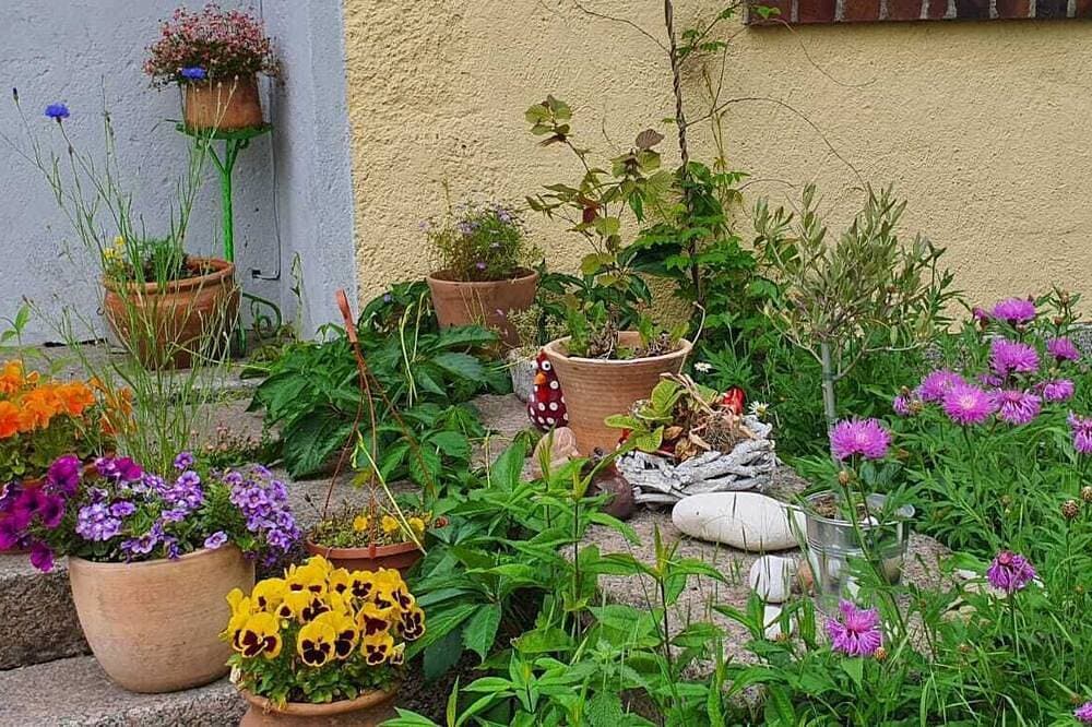 Foto 7 von 27: Natur pur !