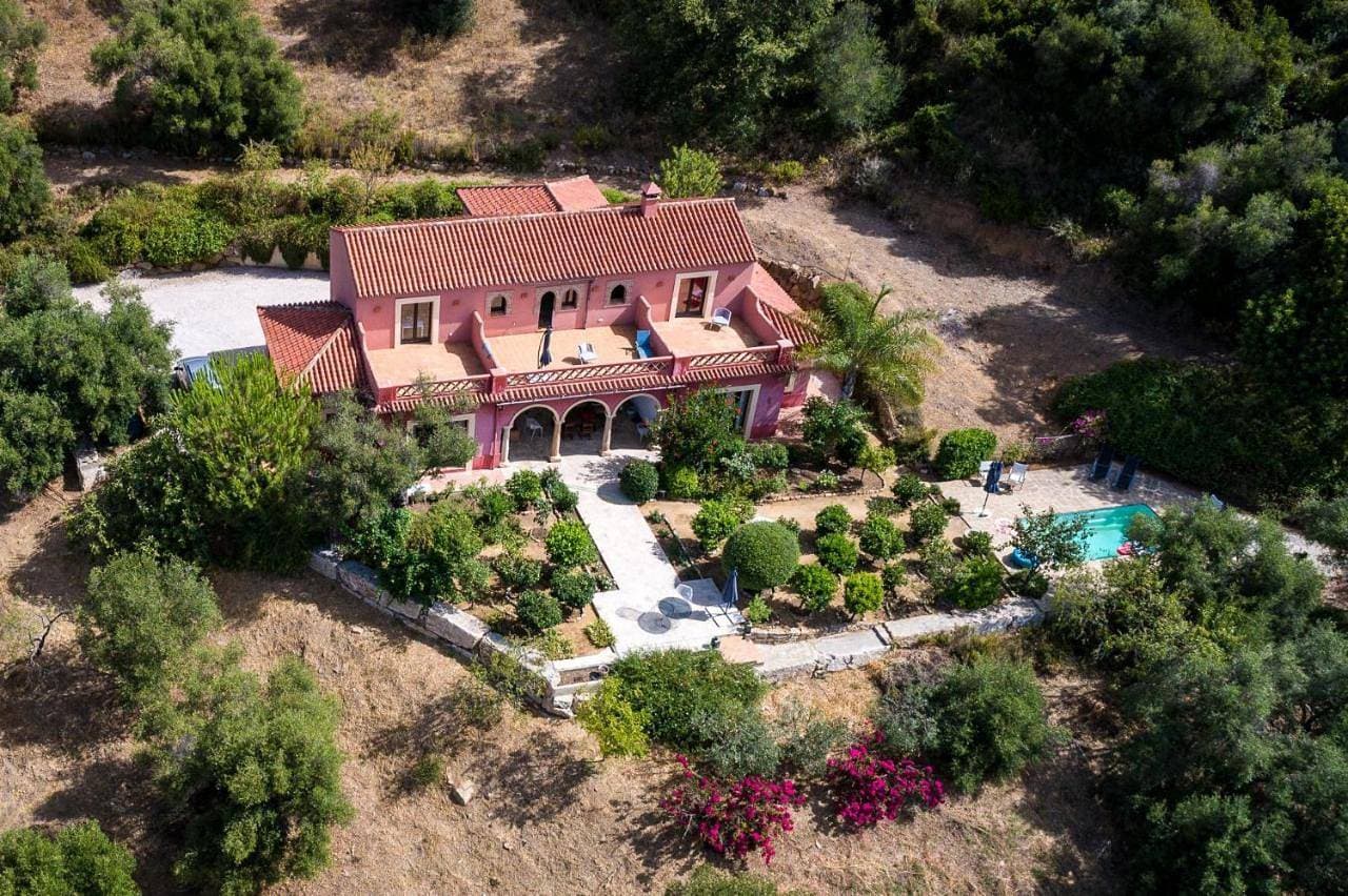 Finca Olivar 1