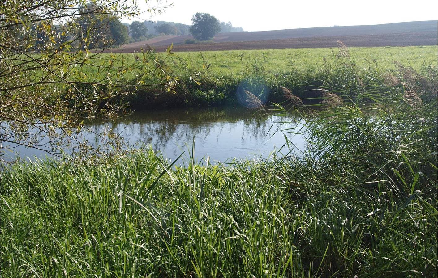 Foto 9 von 11: Rückzugsort am Fluss: Garten, Terrasse, Parkplatz - Warnow 200m