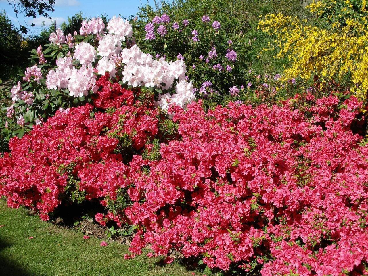 Foto 6 von 23: Privatzimmer 'Les Hortensias'