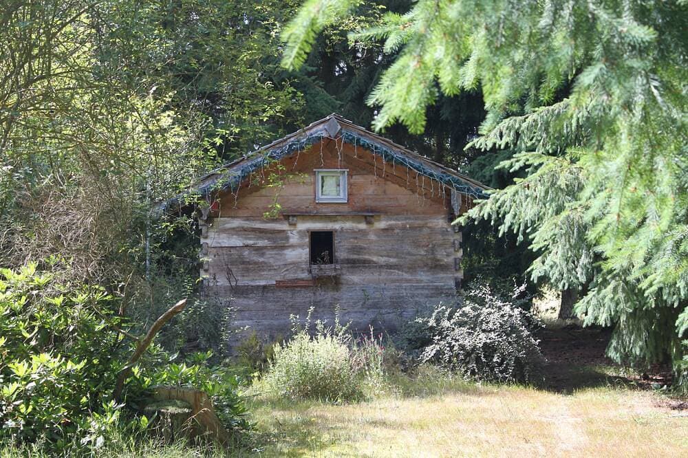Foto 6 von 30: Wunderbare Hütte aus dem 19. Jahrhundert im Wald von Rambouillet, 1 Stunde von Paris entfernt