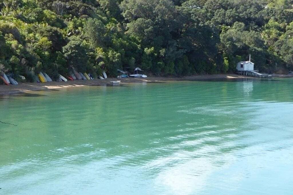 Foto 5 von 15: *** Waiheke Island - Buchen Sie 4 x pro Woche und zahlen Sie nur 2 ***