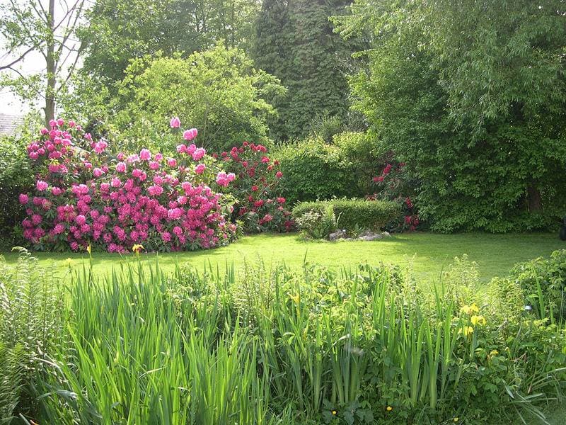 Foto 12 von 15: Gîtes de France® - Les Rhododendrons