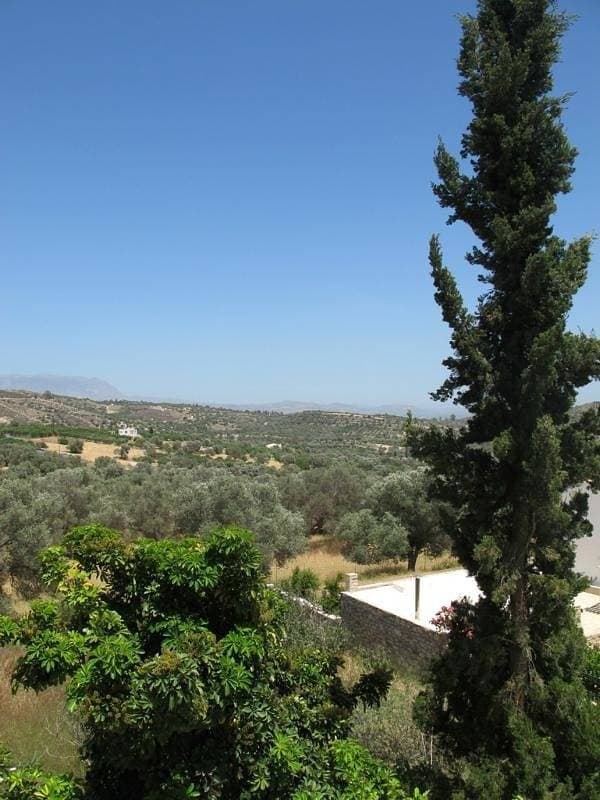 Foto 4 von 43: Villa Sofia
