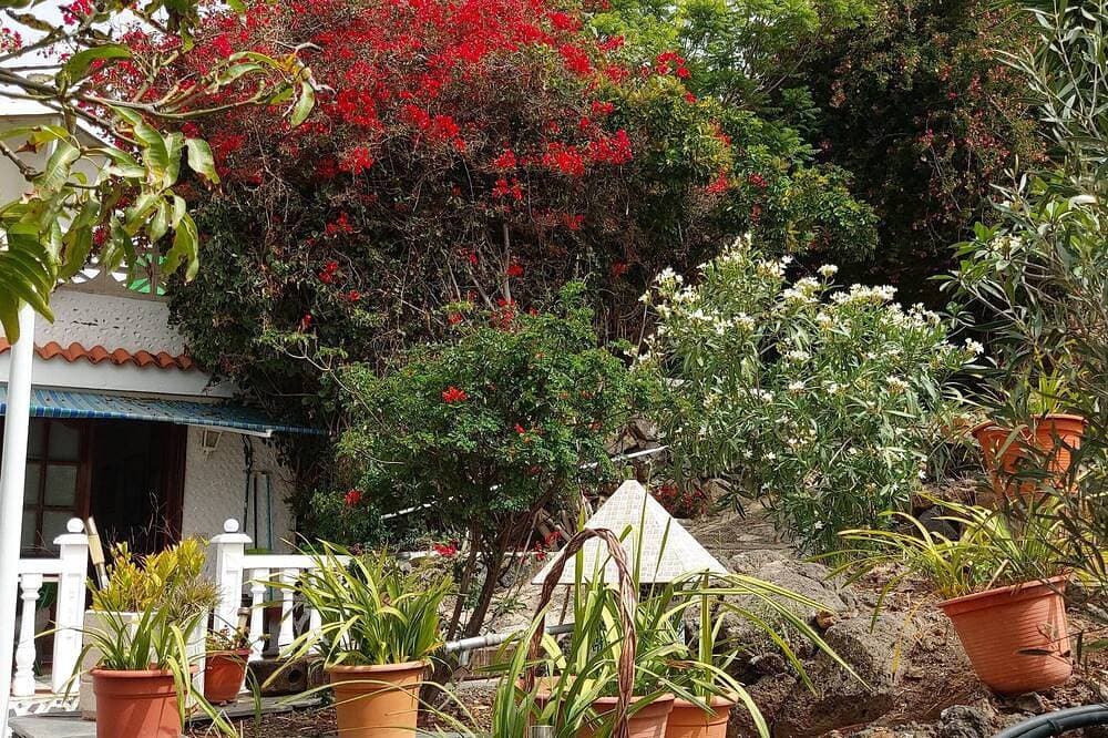 Foto 10 von 30: Kleines Haus mit Pool auf La Palma