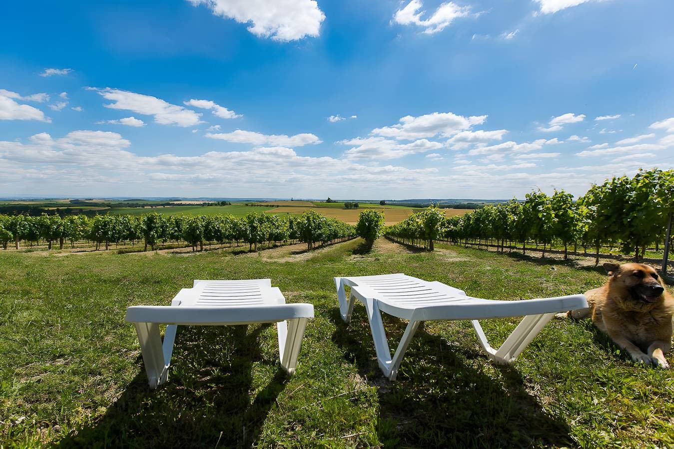 Foto 13 von 15: Ferienhaus „La Cabane du Vigneron“ mit Gemeinschaftspool, privater Terrasse & Klimaanlage