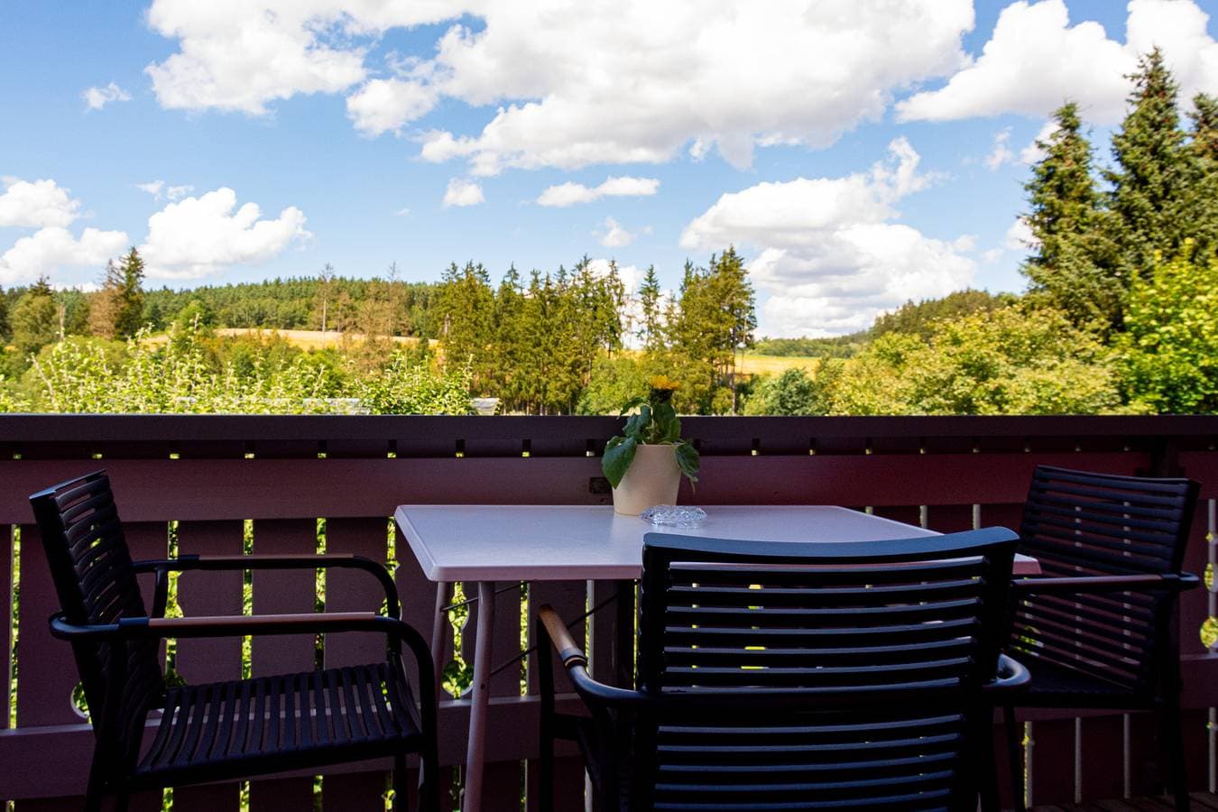 Foto 12 von 27: Ferienhaus Betty - Ruhige Ferienwohnung mit Ausblick, besonders geeignet für Hundebesitzer und Familien