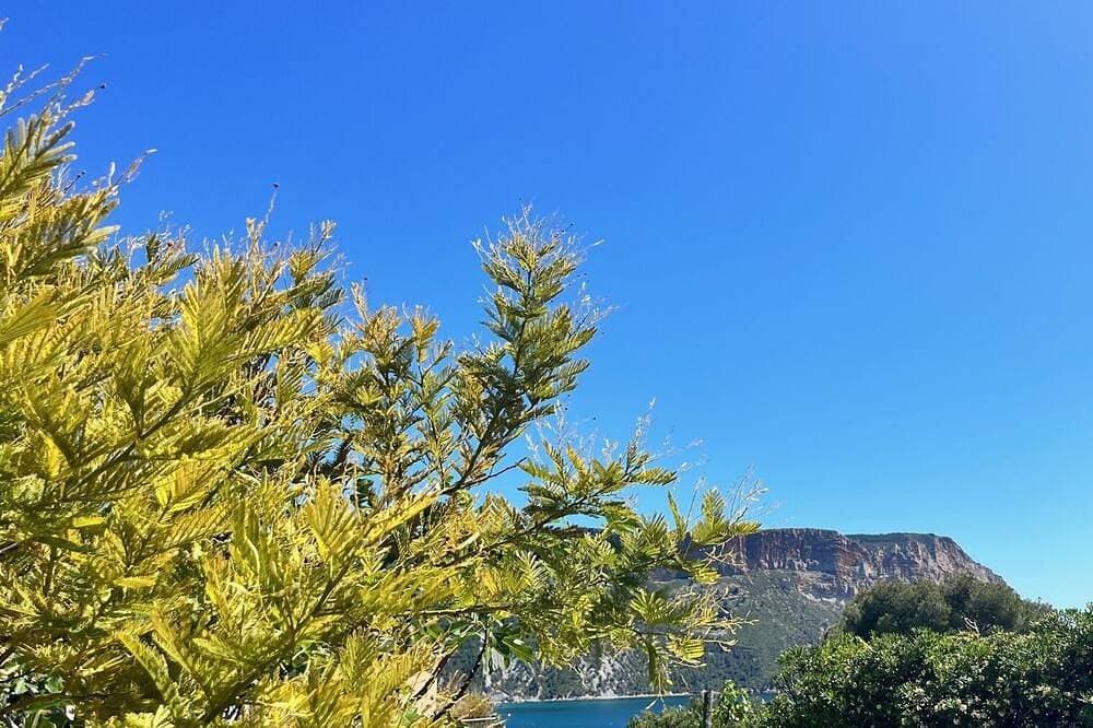 Foto 8 von 15: Superbe rez de Villa Avec Piscine Privée Entre Plage du Bestouan et Calanques