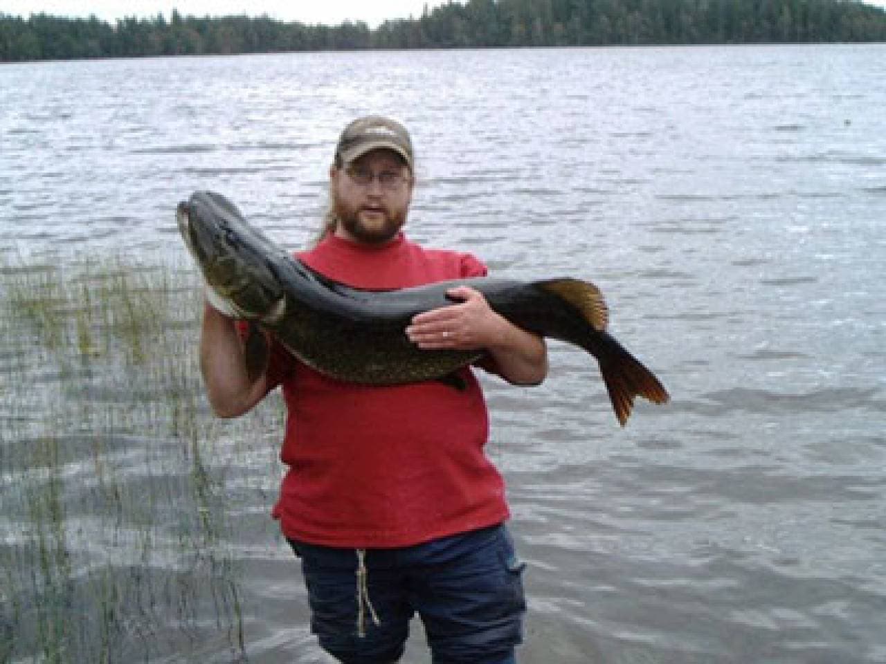 Foto 7 von 21: Schönes Angler-Ferienhaus in Südschweden