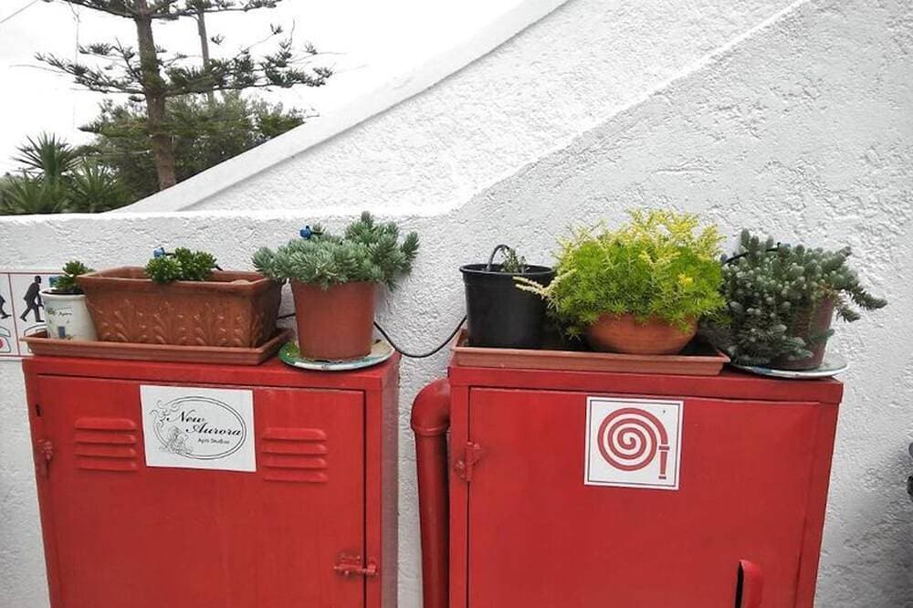 Foto 11 von 30: Apartments mit Gartenblick