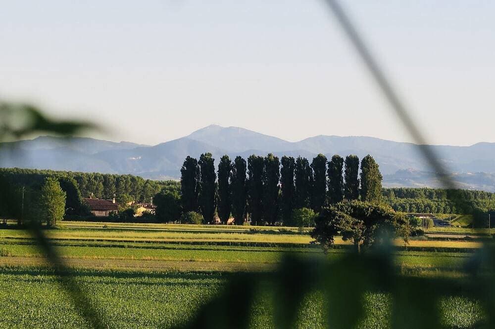 Foto 13 von 19: The house in the fields_Dépendance