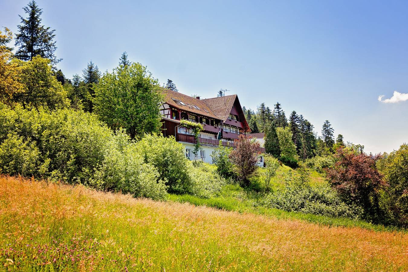Foto 12 von 21: Haus Nilson - Ferienwohnung Hofblick, 24 qm, 1 Wohn-/Schlafzimmer, max. 2 Personen