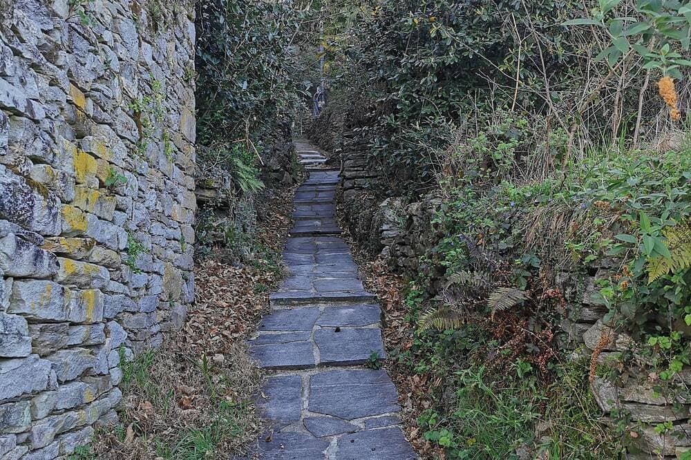 Foto 12 von 30: Ferienhaus Camelia mit Traumaussicht über den Lago Maggiore (It)