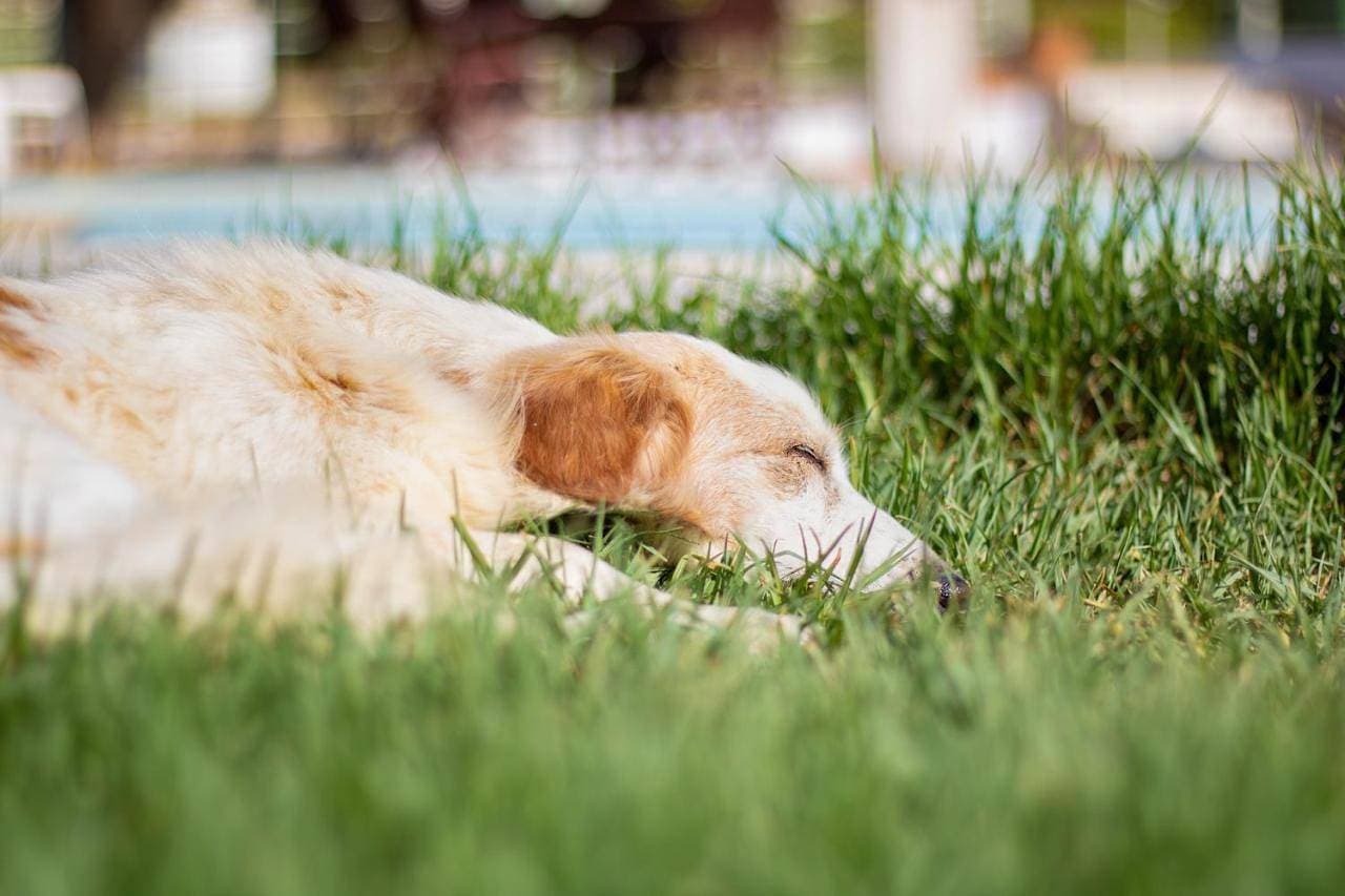 Foto 12 von 16: Apartment - Ground Floor