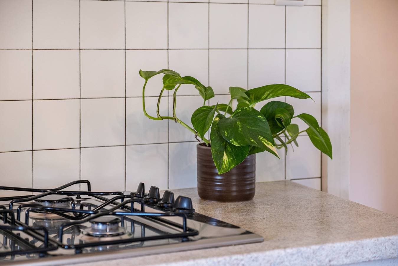 Foto 13 von 31: Ferienwohnung 'Stablerhof - Löwenzahn' mit Bergblick, Garten und WLAN
