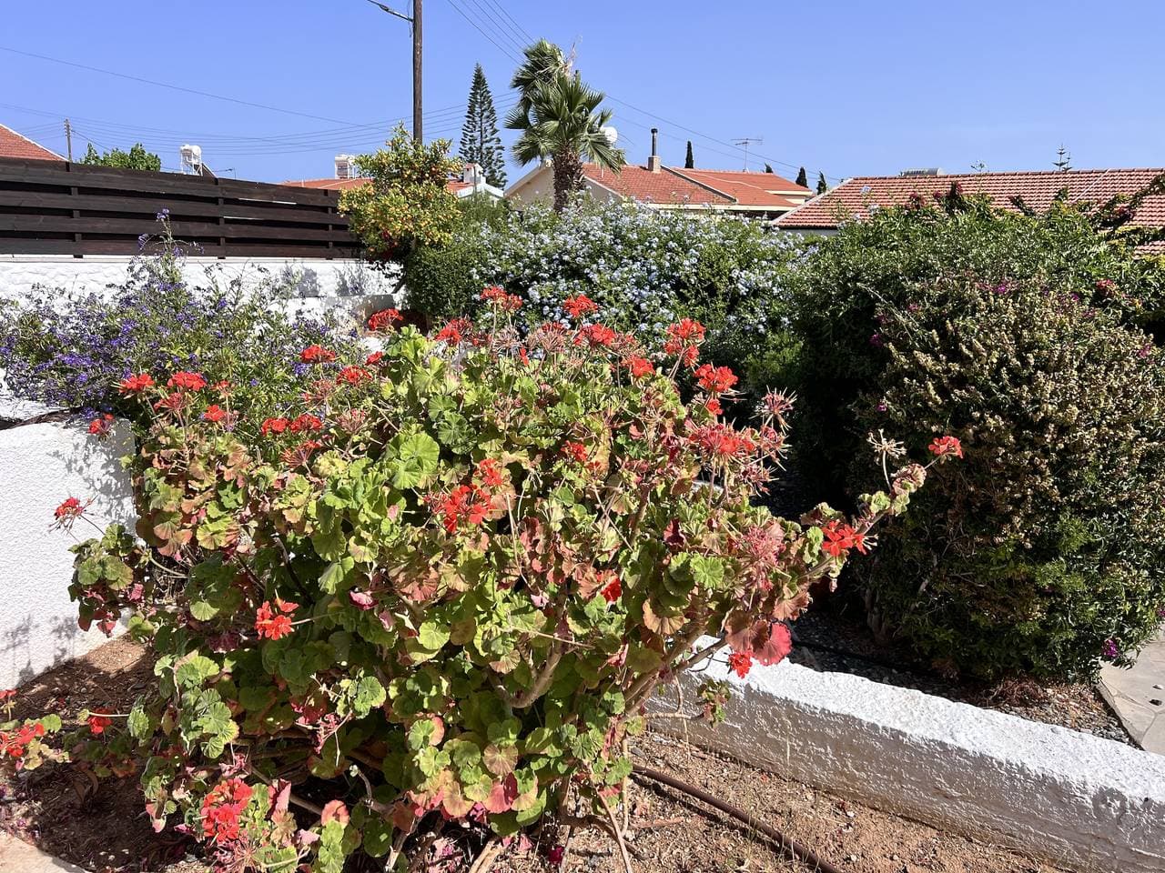 Foto 13 von 25: Charmante Erimi Villa mit privatem Pool und Gartenblick