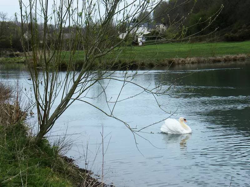 Foto 12 von 17: Gîte de France 2 Personen