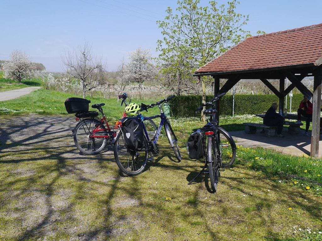 Foto 12 von 32: Frühburgunder im Ferienhaus Lehmättle