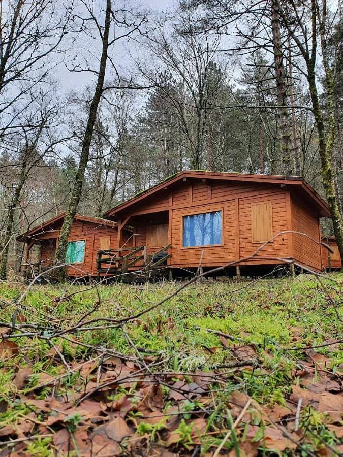 Foto 4 von 25: Two-Bedroom Bungalow