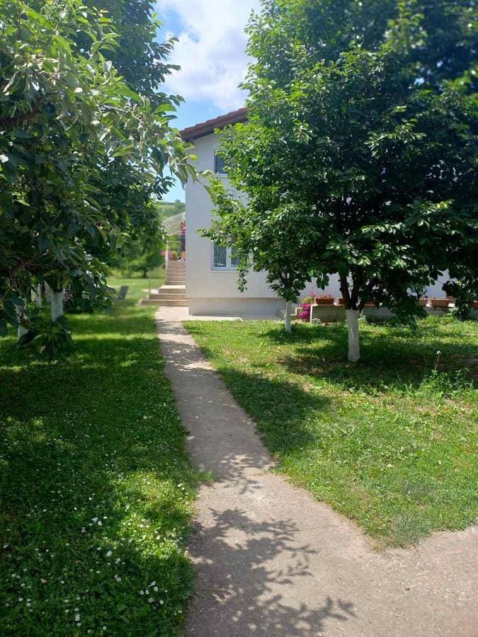 Apartman Flora Vrdnik 1