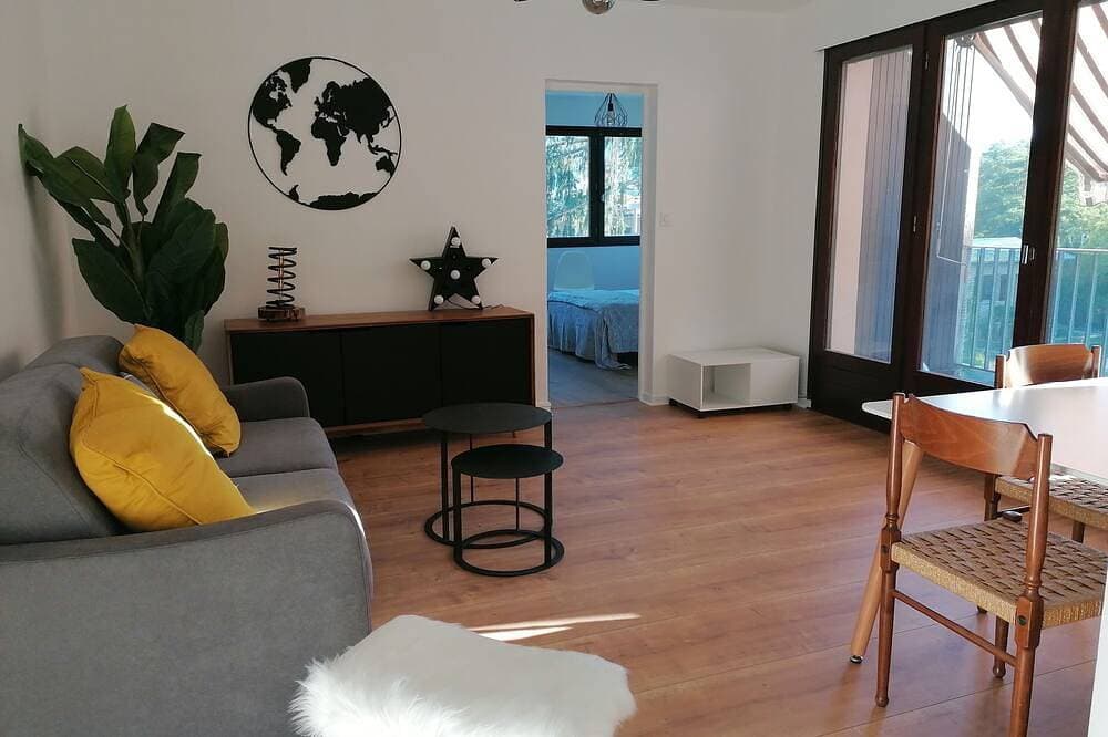 Spacious apartment Embrun 1