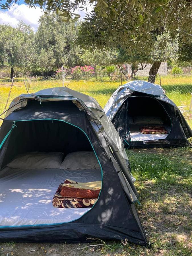 Waveside Camping 1